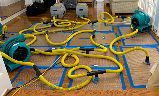 Professional Storm Water Damage Restoration technician working in Folly Beach, SC